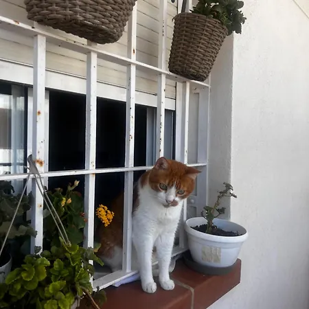 Rinconcito Al Pie Del Cabo De Gata *